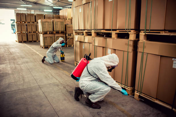 Reliable Cheraw, SC Pest Control Solutions