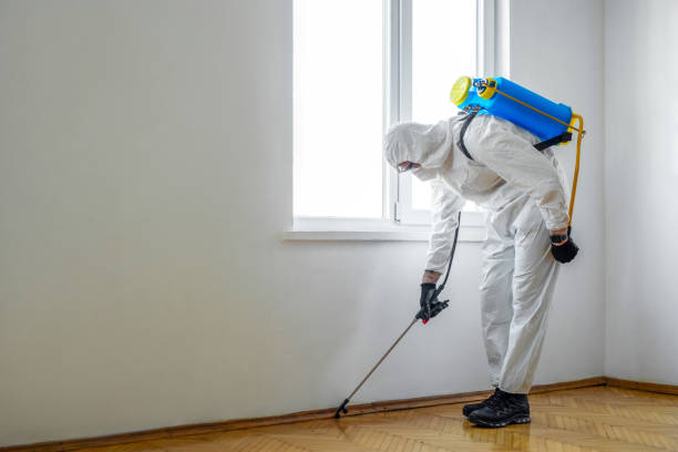 Best Commercial Pest Control Services  in Cheraw, SC
