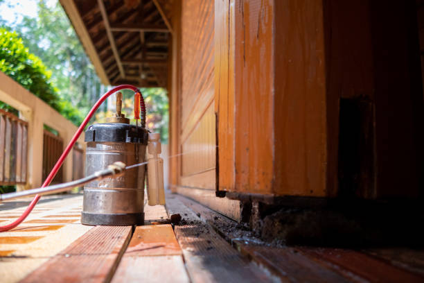 Best Emergency Pest Control  in Cheraw, SC