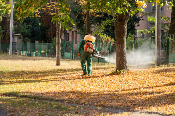 Best Insect Control  in Cheraw, SC