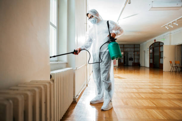 Best Mosquito Control Services  in Cheraw, SC