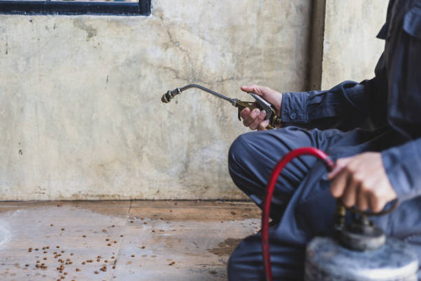 Best Pest Inspection Near Me  in Cheraw, SC