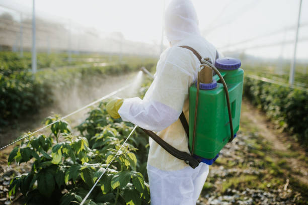 Cheraw, SC Pest Control Pros